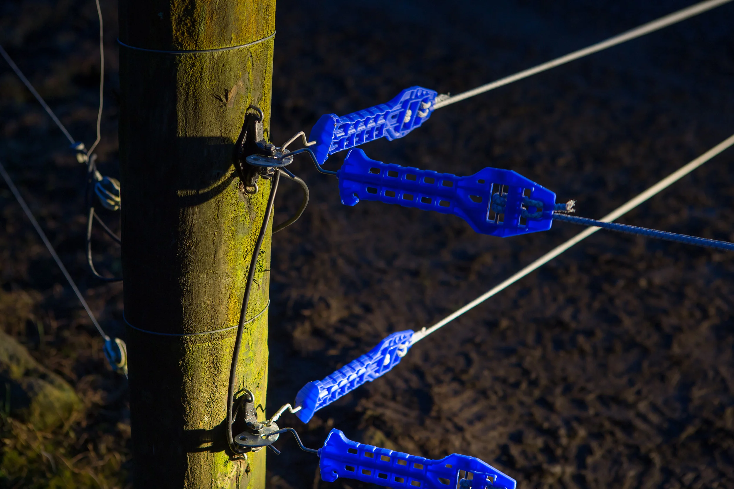 Matamata AUG 2016_021.jpg