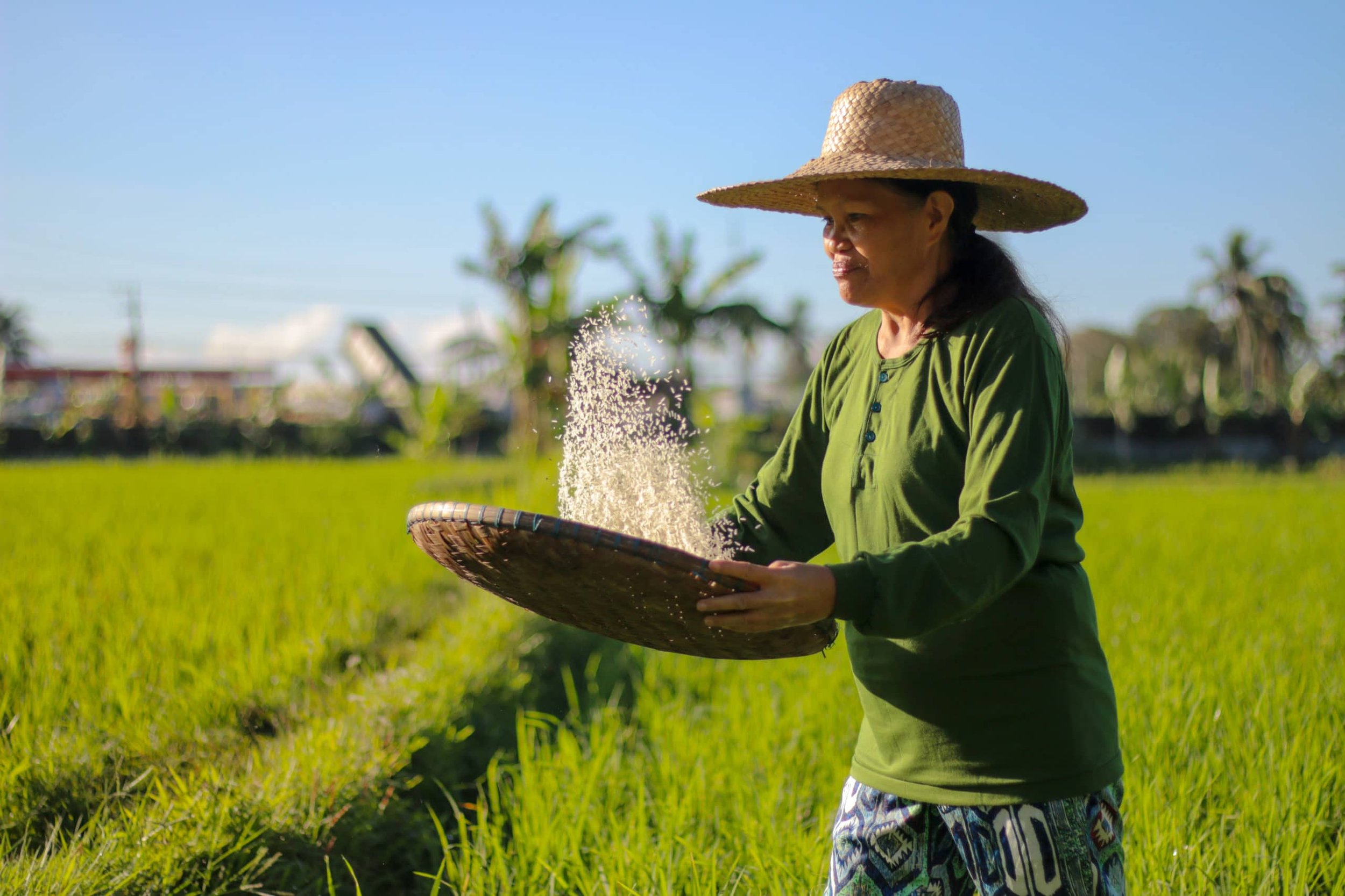 Plilippines Rice Rake In the Philippines, You Can Have Your Rice Cake and Eat it Too! — One Down