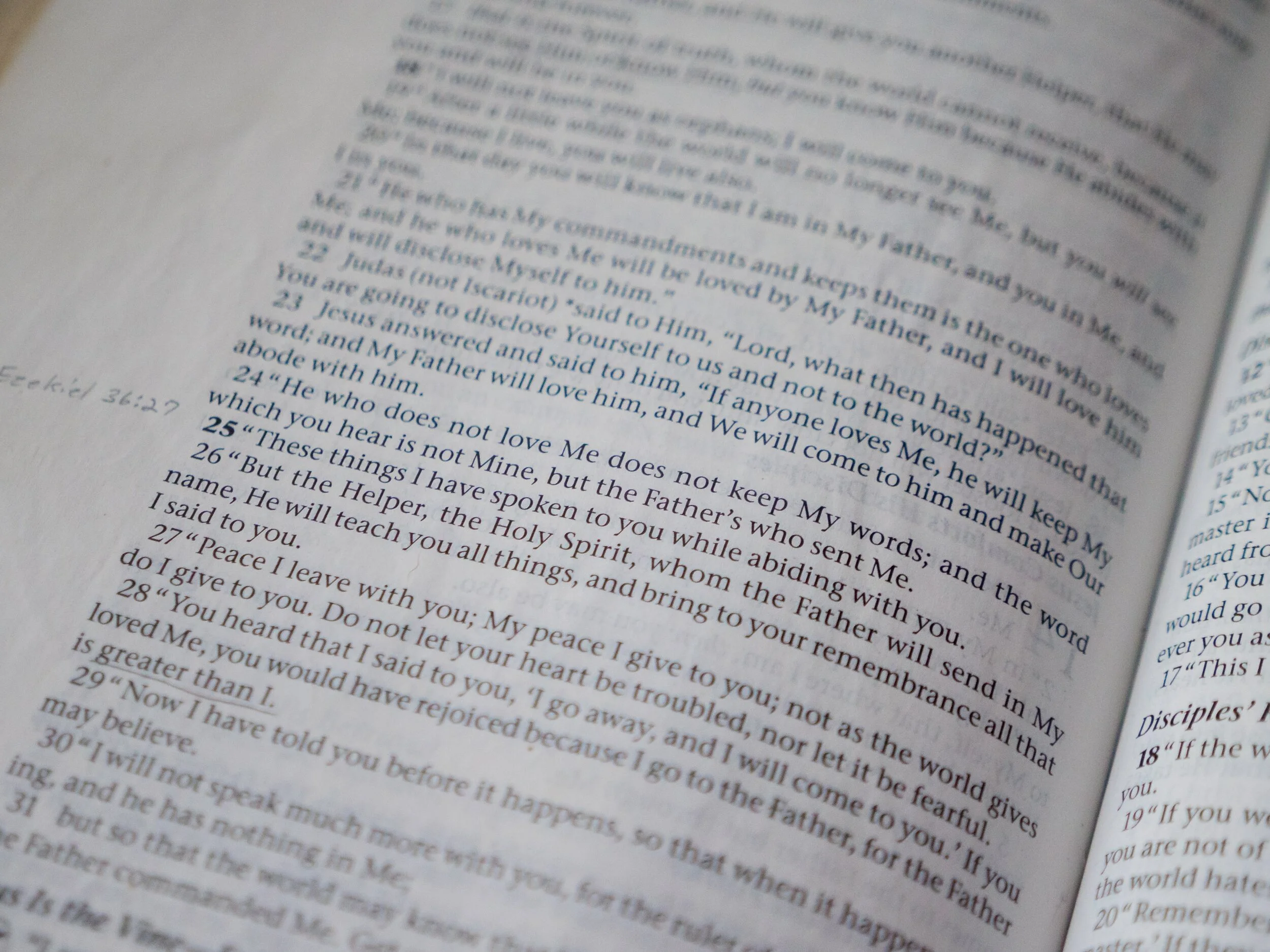 Rules for Twisting Scriptures