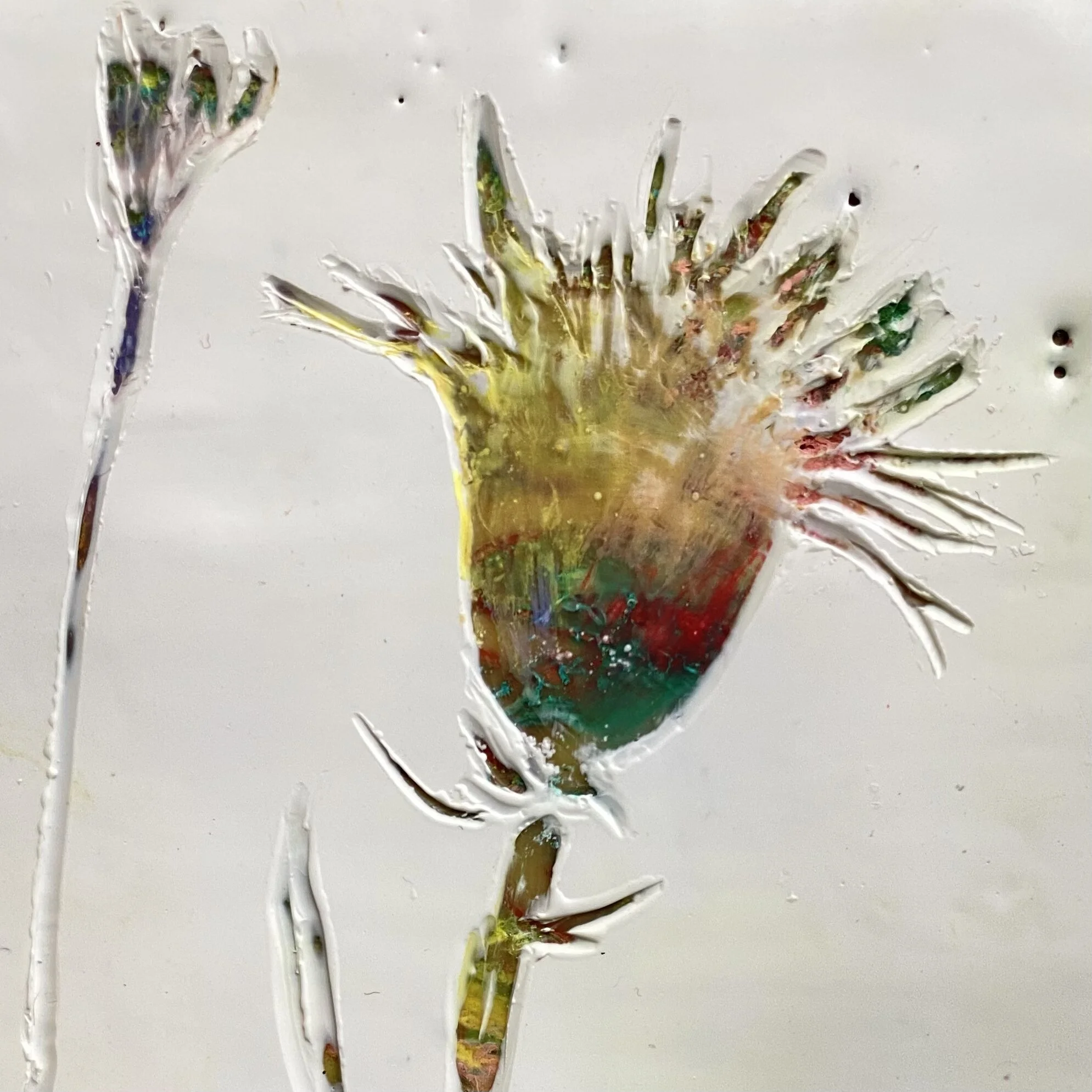 5E05F37F-D884-4B74-81A8-B121CABA66FF