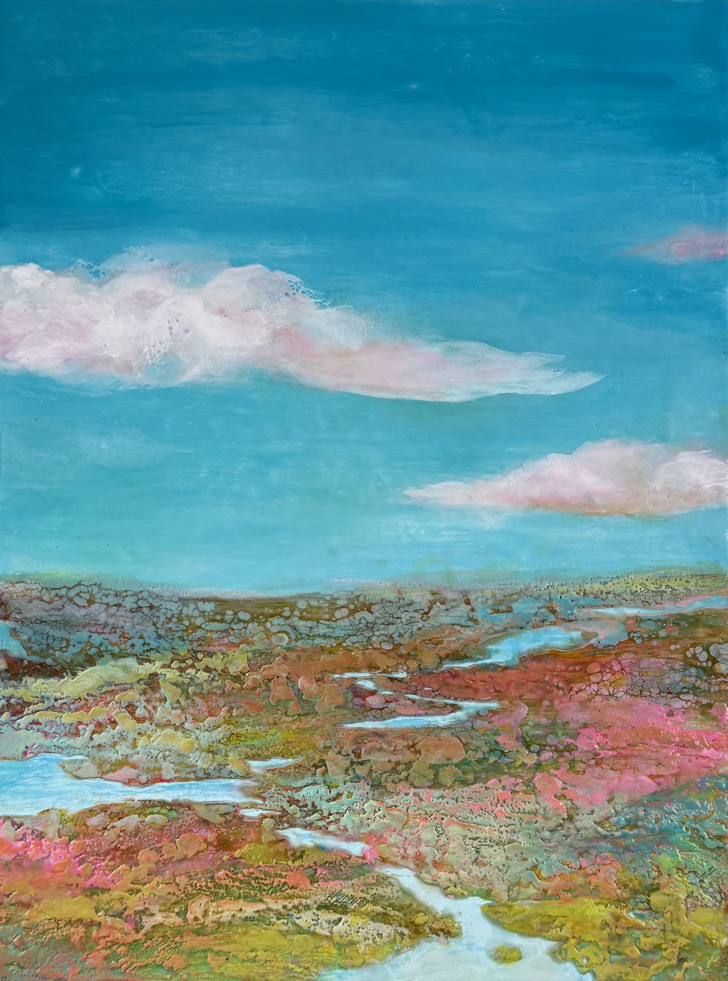 Eagle's View 12x16.jpg