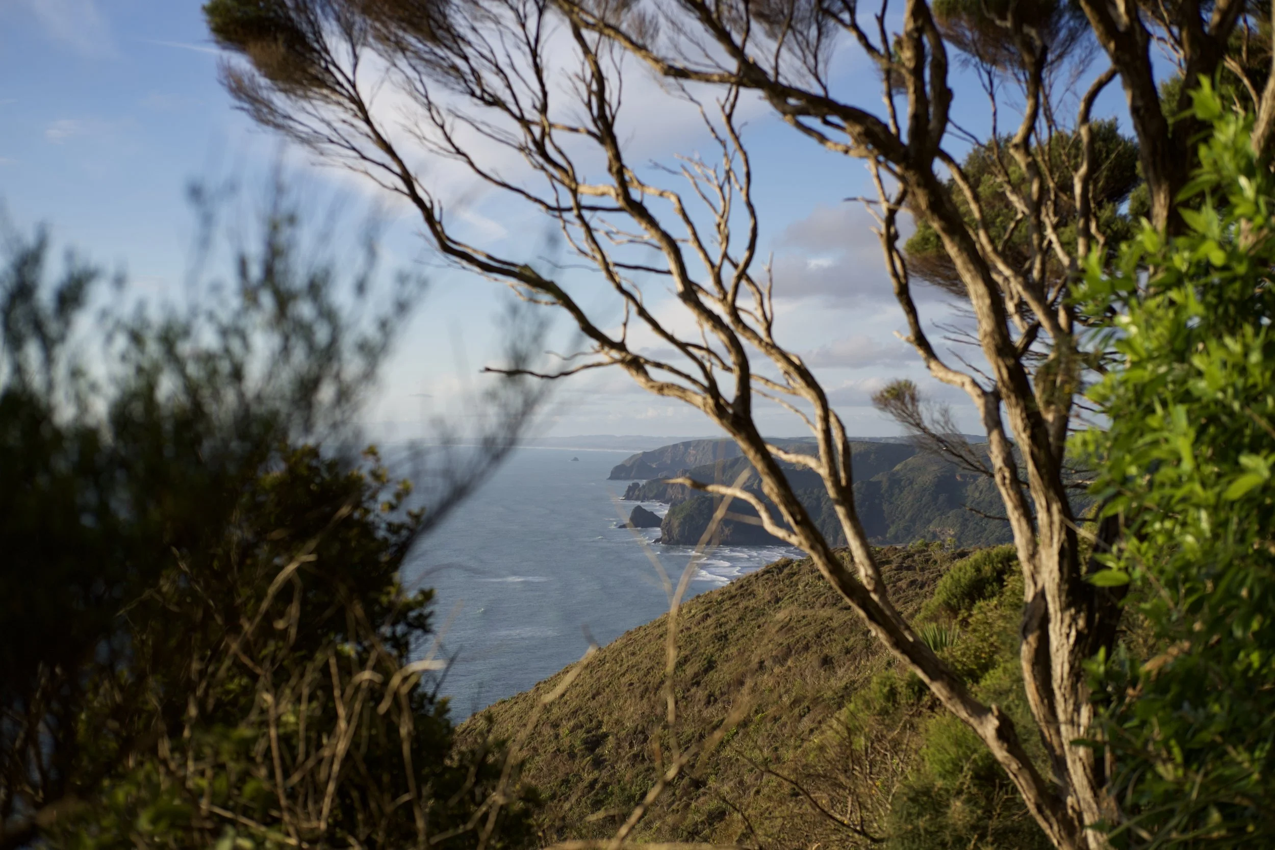 🌍 Organizations &amp; networks