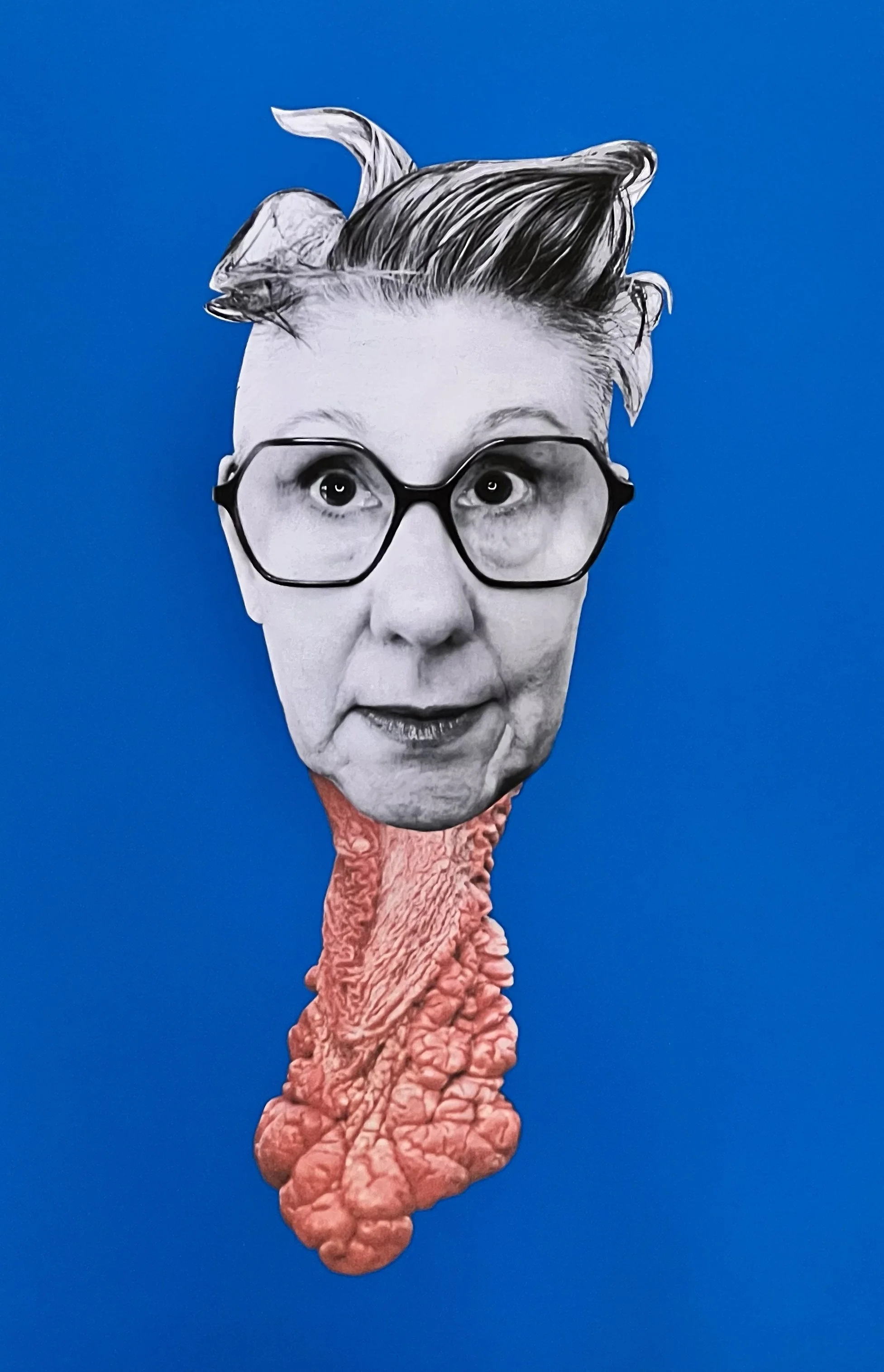 ELDERS_Self portrait with turkey neck_collage_43x32.5cm_2025_Ali Griffin.jpg