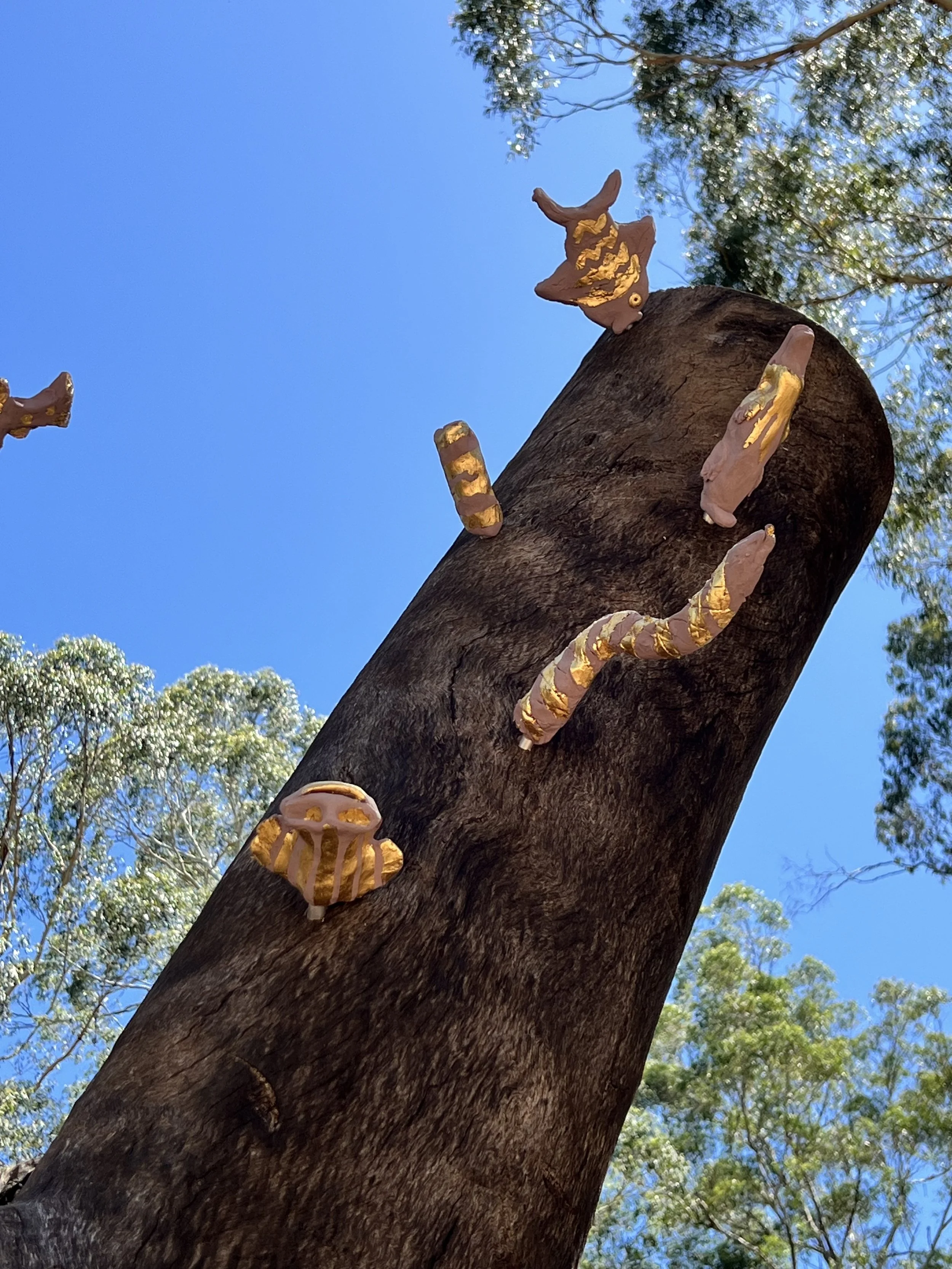 Bluegum Reserve Playspace Badger Creek 2025 4.jpeg