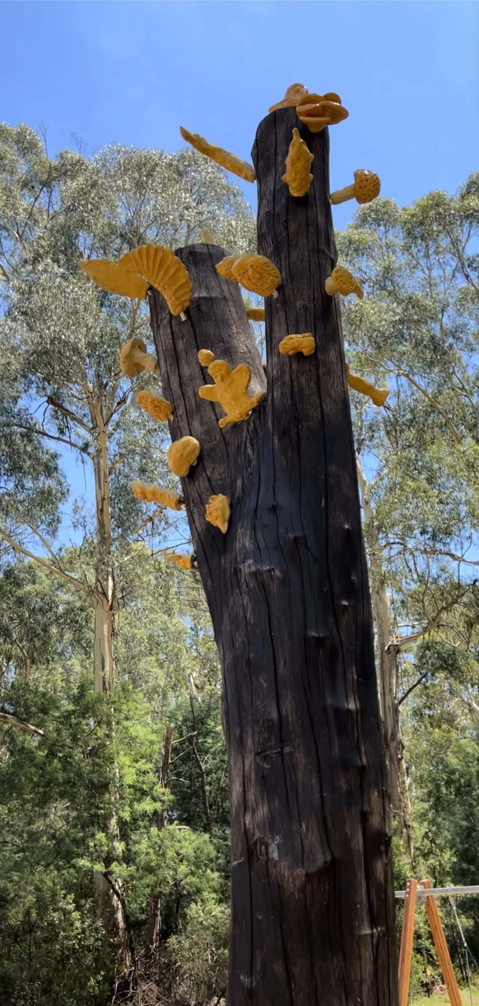 Powerful owl (yellow) trunk.jpg