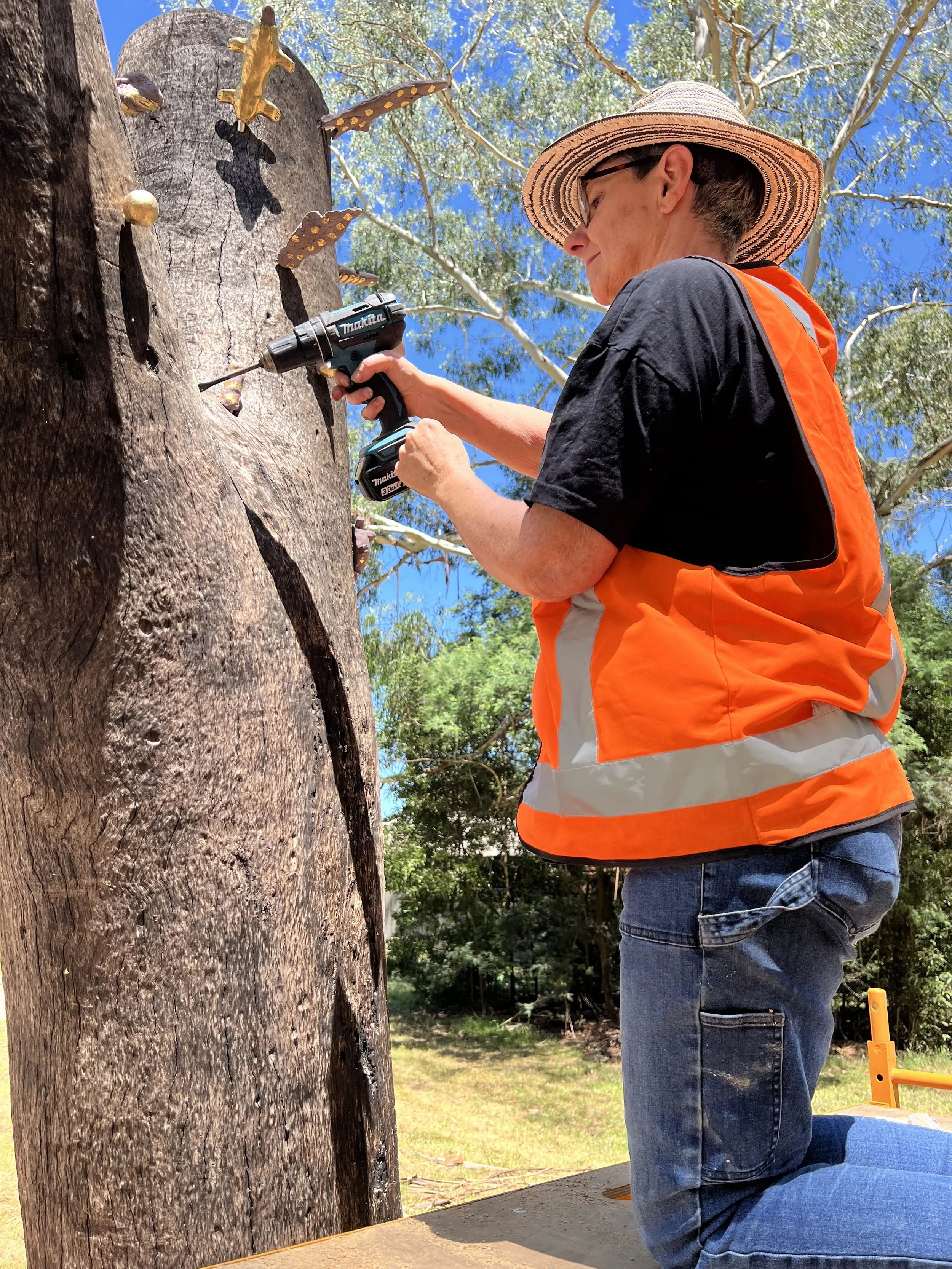 Bluegum Reserve Playspace Badger Creek 2025 2.jpg