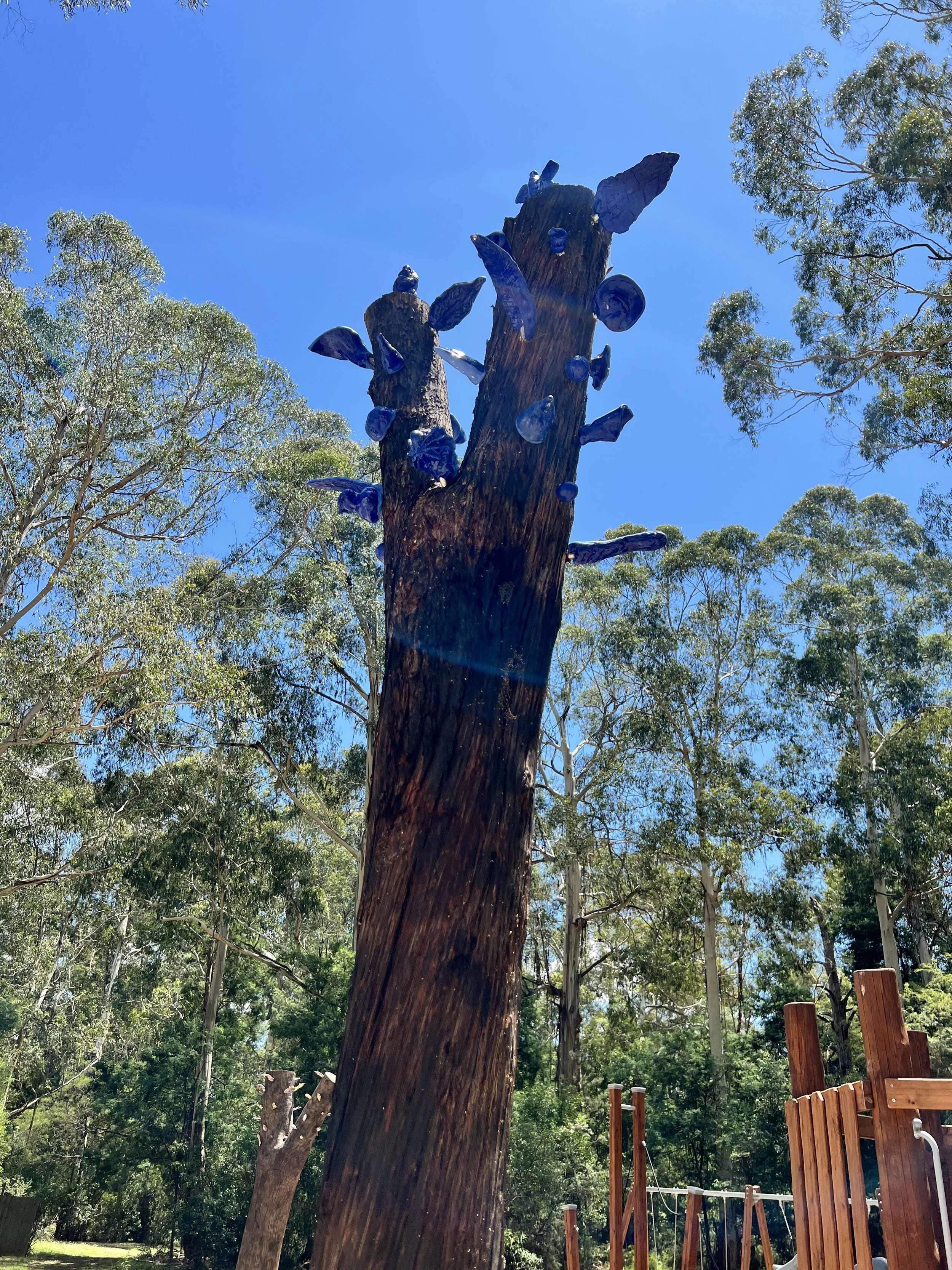Bluegum Reserve Playspace Blue trunk2.jpg