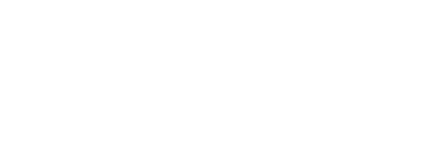 logo transparent.png