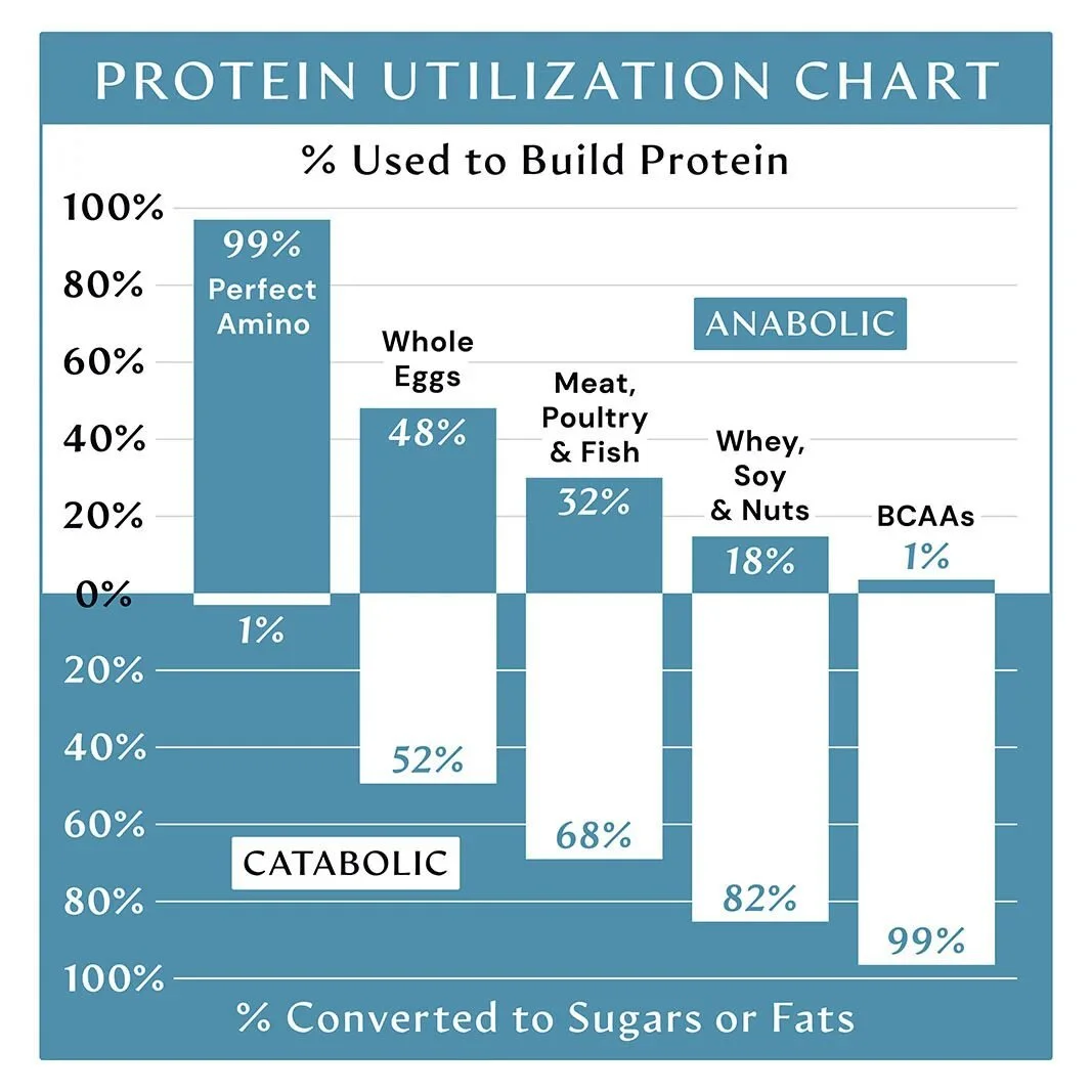 Protein Utilization Chart Perfect Aminos