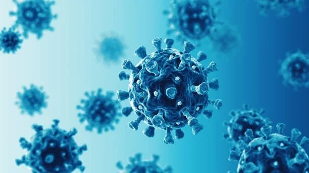 Vitamin C &amp; Quercetin - potential role in the COVID-19 pandemic