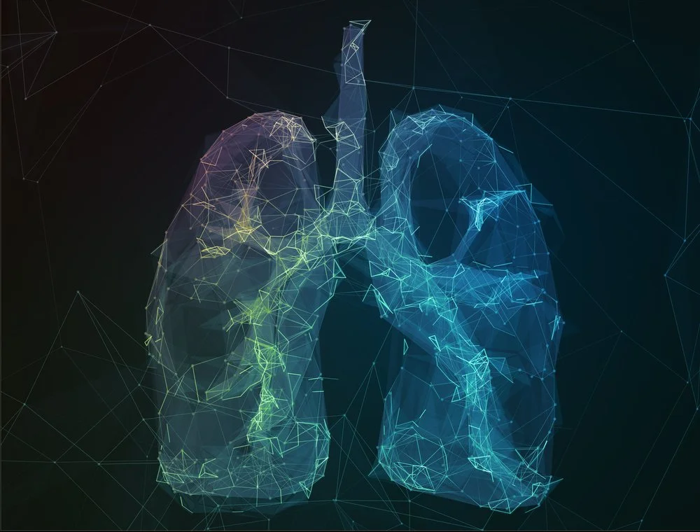 COVID-19 : Where does the Gut Microbiome fit in?