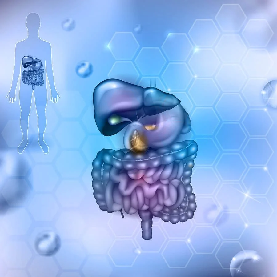 Best Gut Microbiome Test Australia