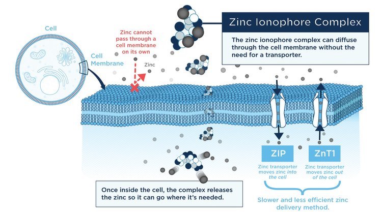 Quicksilver Zinc Ionophore Immune Charge Australia.jpg
