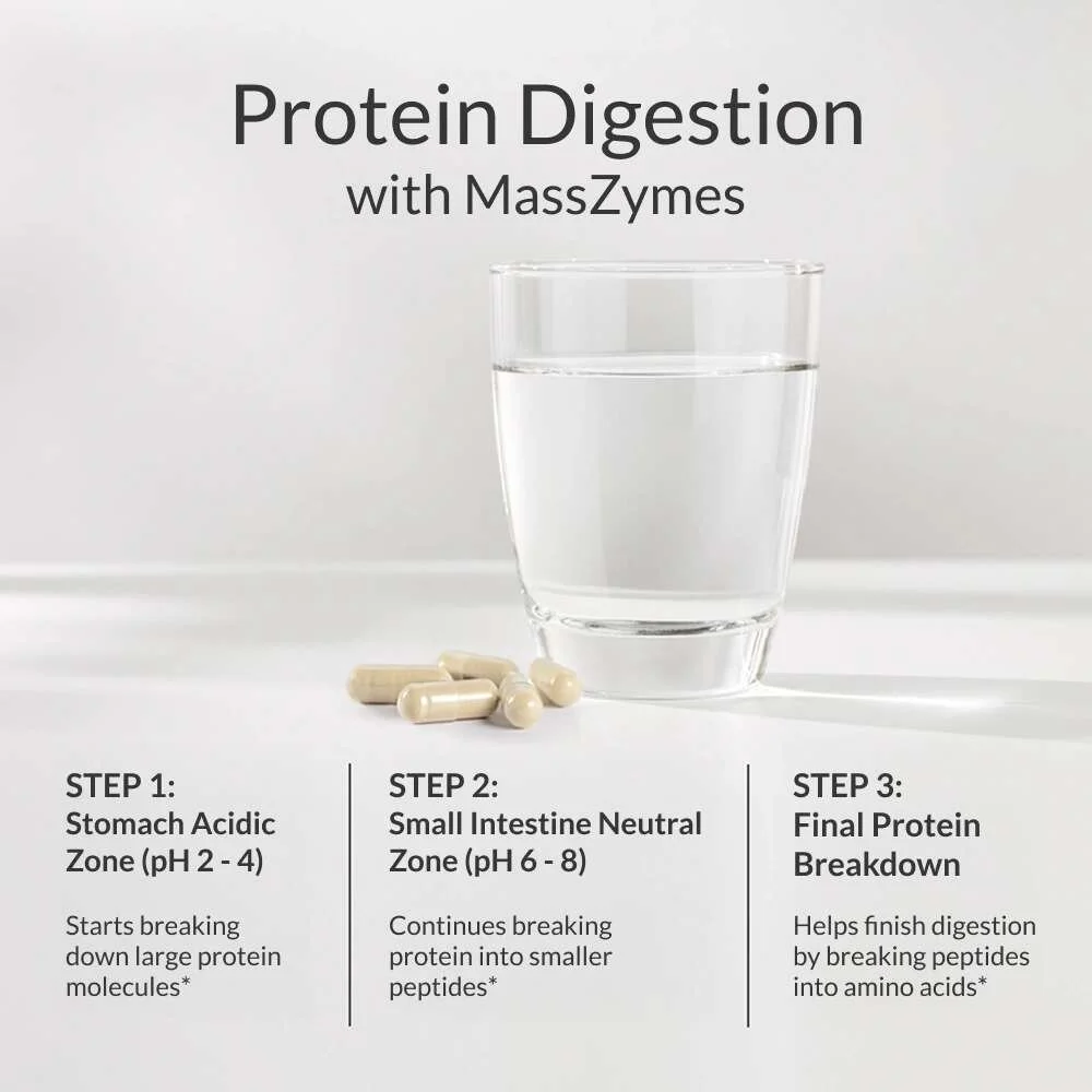 BiOptimizers MASSZYMES Australia infographic