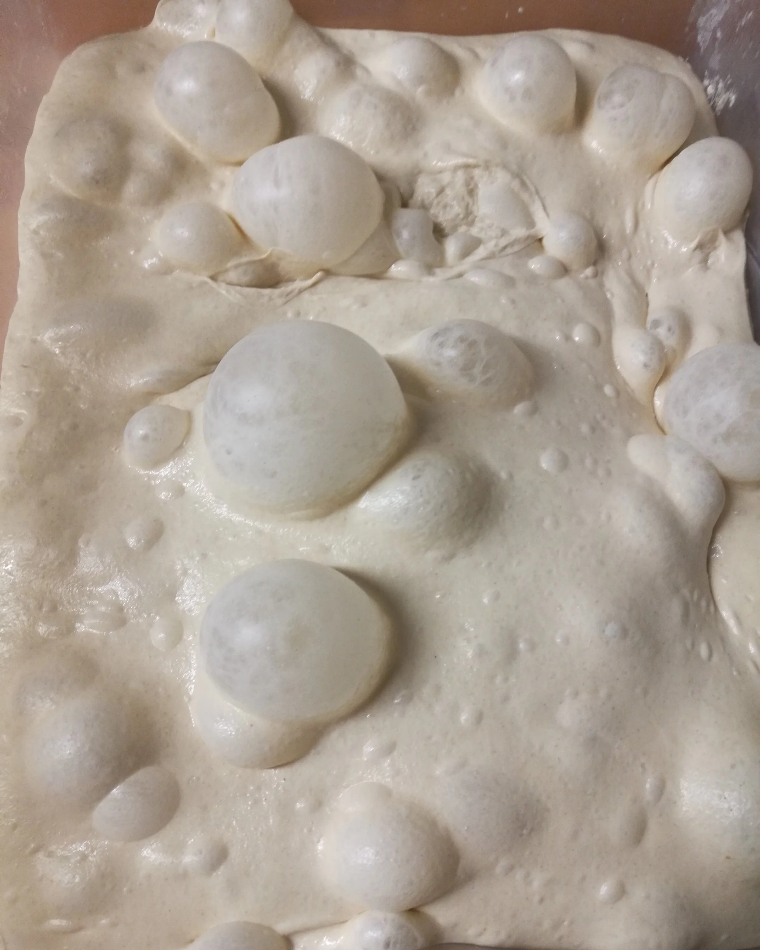 long fermentation baguette dough.jpg