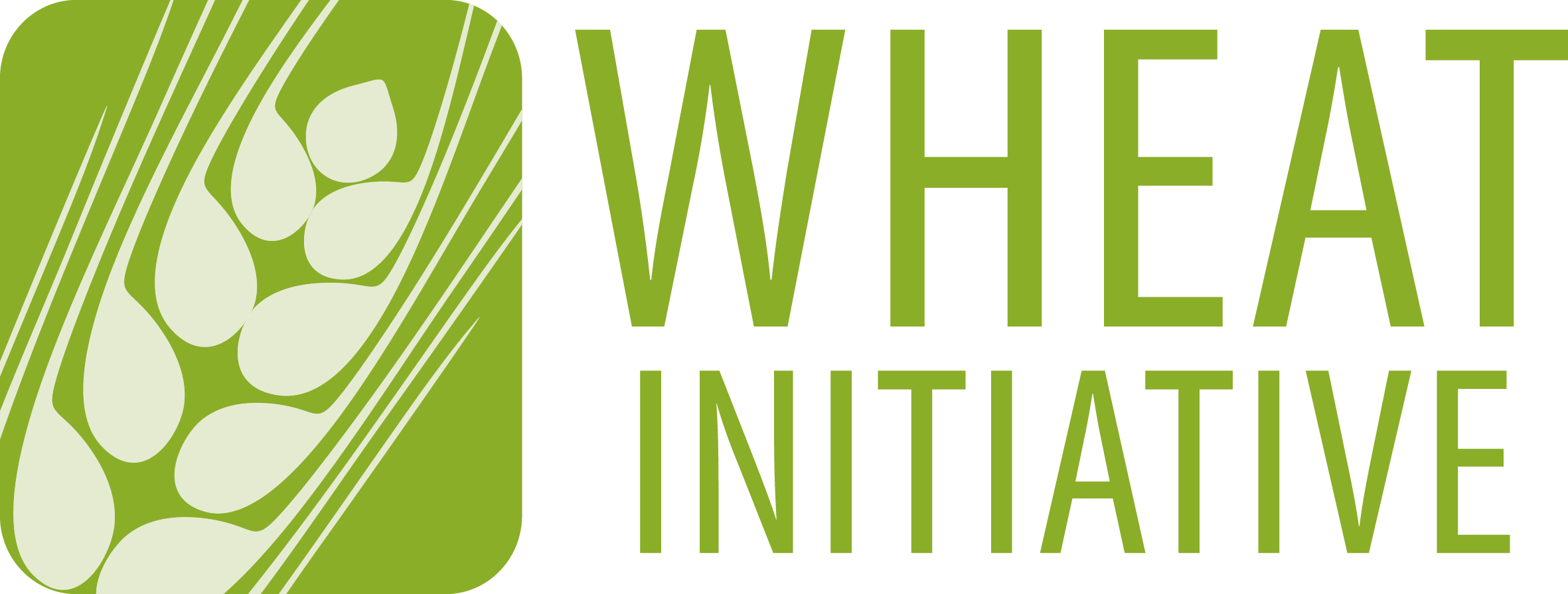 Wheat initiative