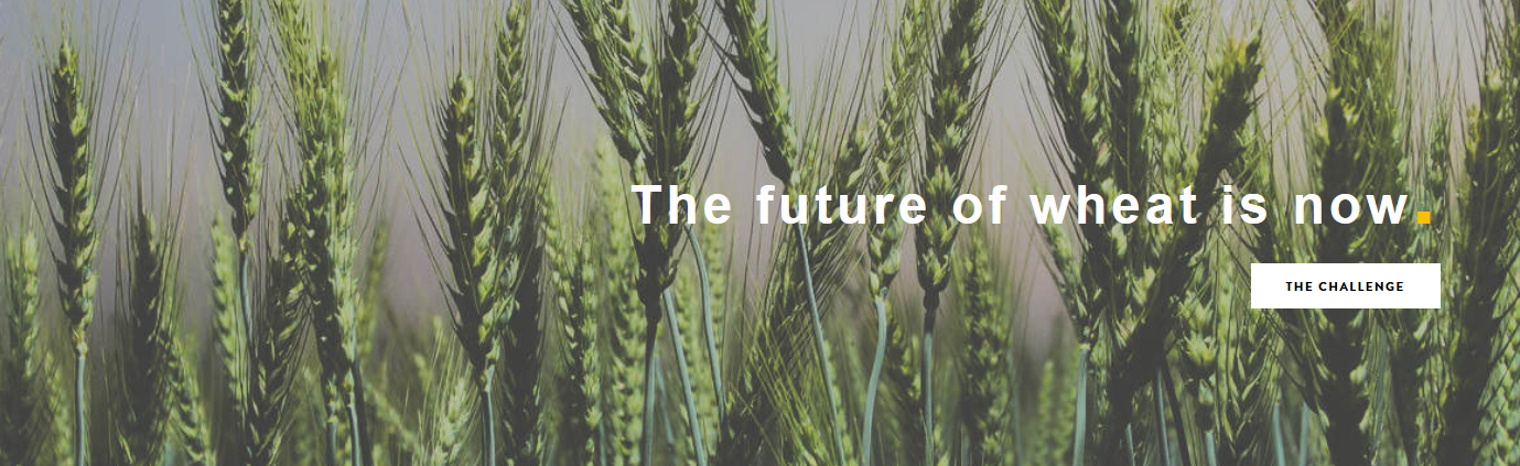 Germany’s Julius Kühn Institute to Host the HeDWIC Coordination for the Next Three Years