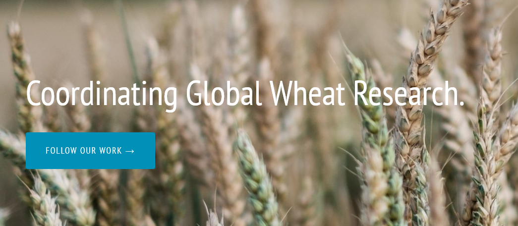 The Wheat Initiative, Set Up by the G20 Agriculture Ministers to Coordinate Global Wheat Research, Moves its Headquarters to Berlin