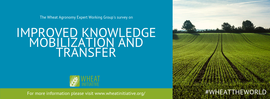 Wheat Initiative's Agronomy Expert Working Group Seeks Farmer Input on Extension