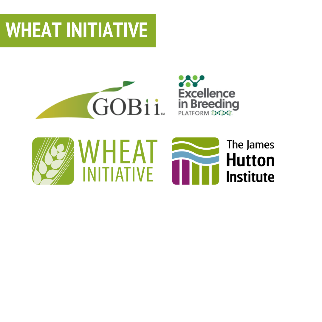 WORKSHOP #1: Transforming Wheat Breeding Through Integrated Data Management with GOBii and Analysis in Flapjack
