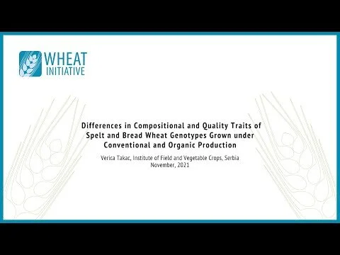 Differences in Compositional&Quality Traits of Spelt&Bread Wheat Genotypes Grown...