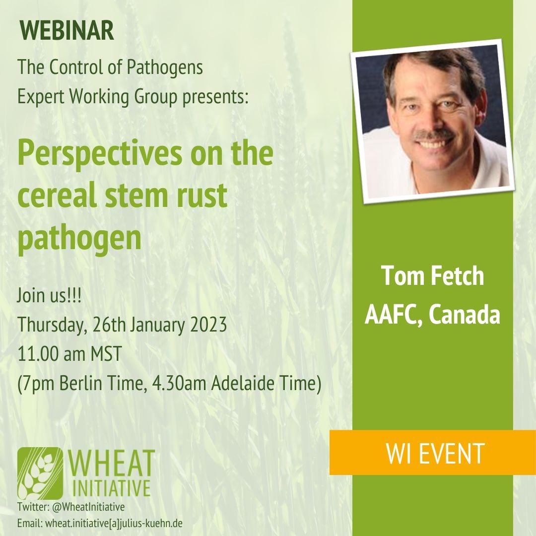 Perspectives on the cereal stem rust pathogen