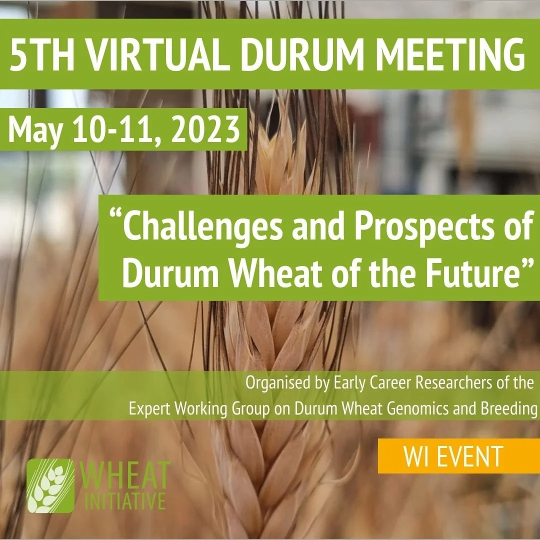 5TH VIRTUAL DURUM MEETING