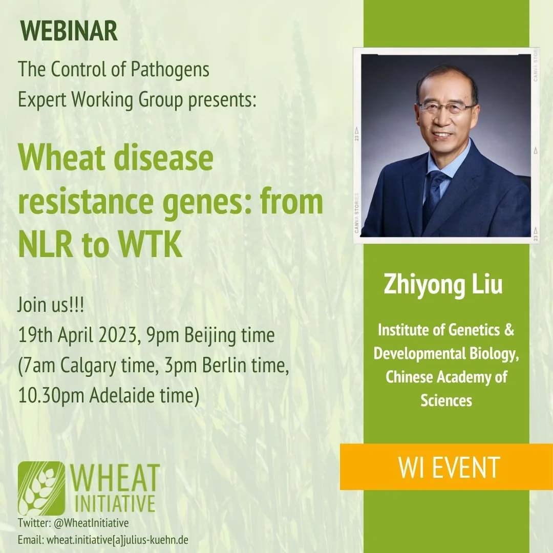 Wheat disease resistance genes: from NLR to WTK 