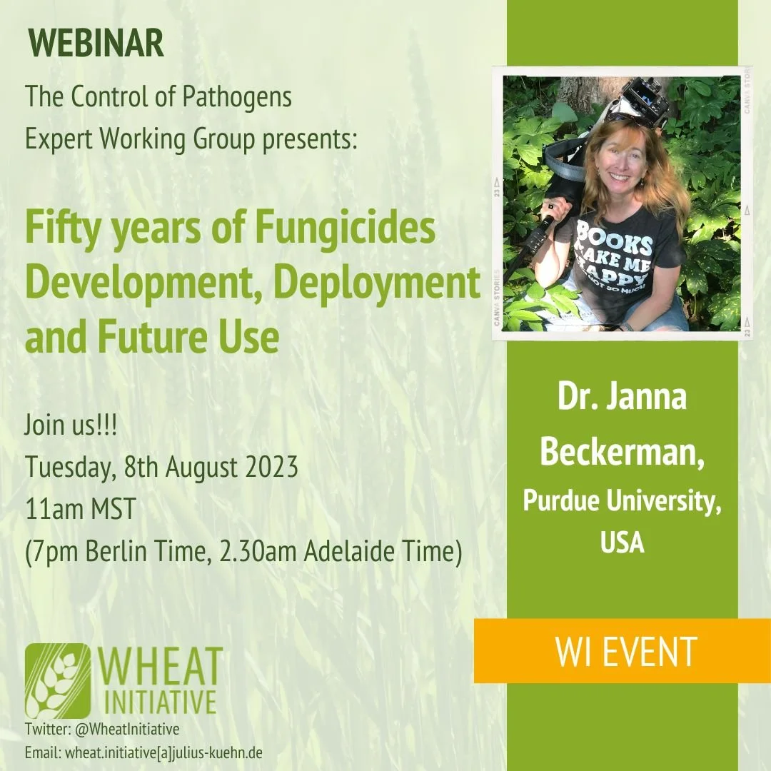 Expert Working Group on Wheat Pathogens Webinar 