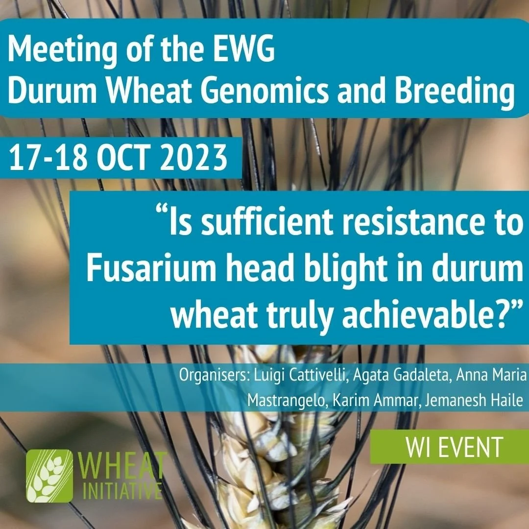 Meeting of the EWG Durum Wheat Genomics and Breeding