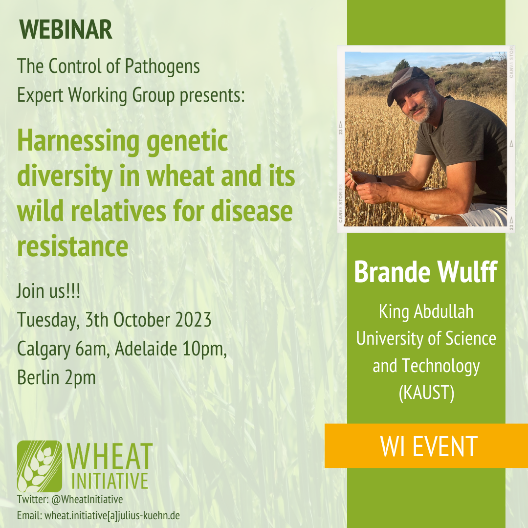 Brande Wulff in the EWG on Wheat Pathogens webinar series 
