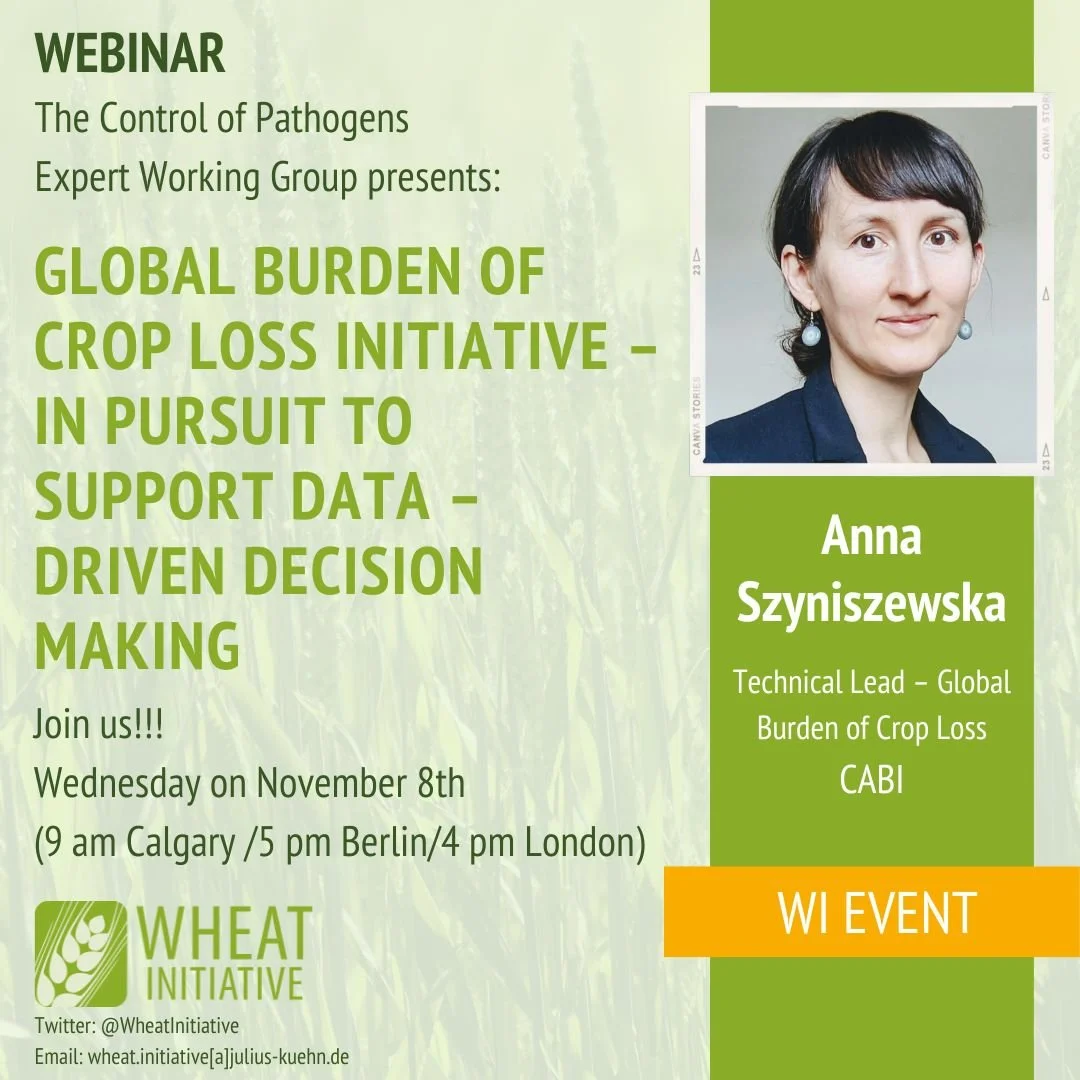 ANNA SYZNISYEWSKA IN THE EWG ON WHEAT PATHOGENS WEBINAR SERIES 