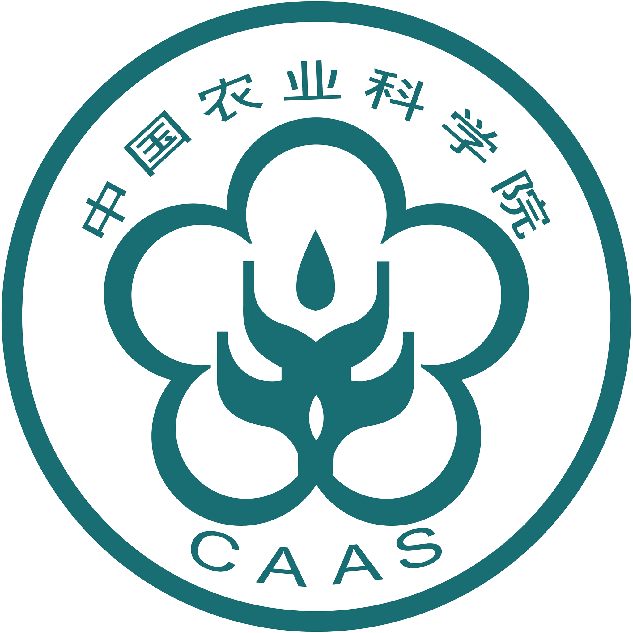 CAAS_Logo.png