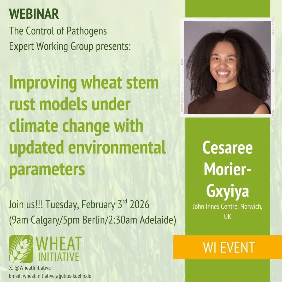 Cesaree Morier-Gxyiya at THE EWG ON WHEAT PATHOGENS WEBINAR SERIES