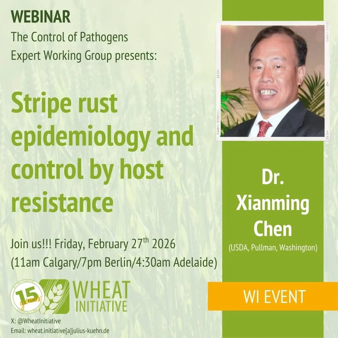 Xianming Chen at THE EWG ON WHEAT PATHOGENS WEBINAR SERIES