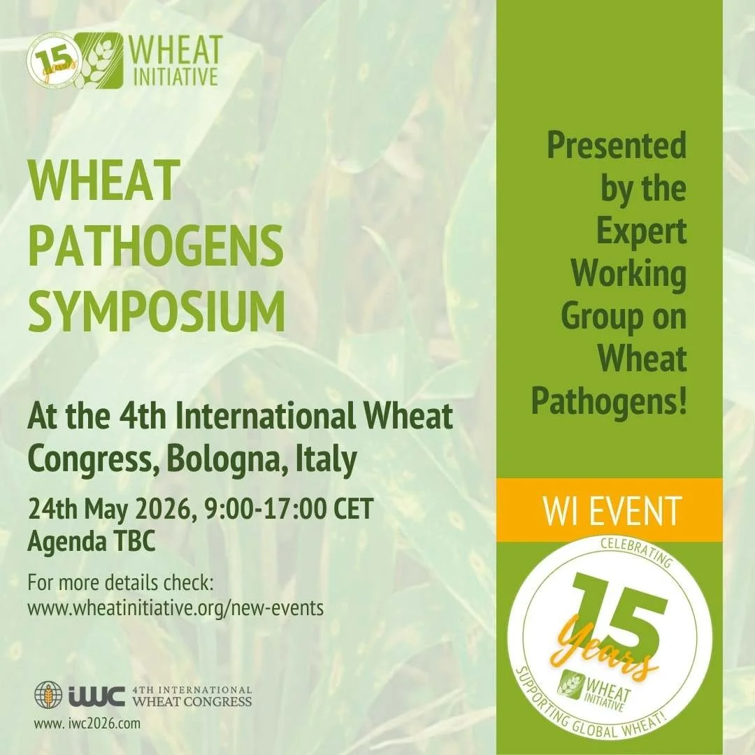 Wheat Pathogens Symposium at 4th International  Wheat Congress in Bologna, Italy 