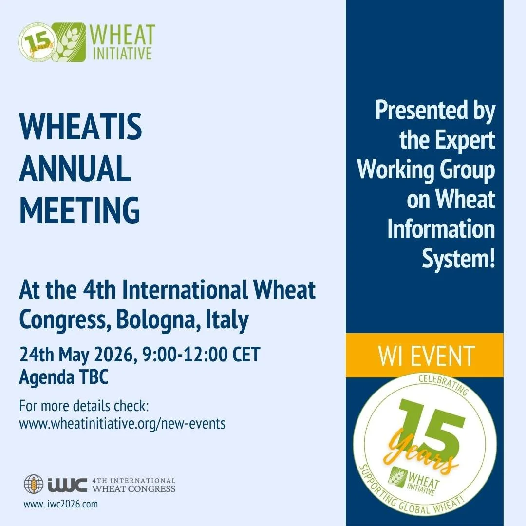 WheatIS Annual Meeting at 4th International Wheat Congress, Bologna, Italy
