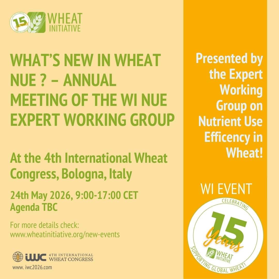 NUE Meetings IWC2026.jpg