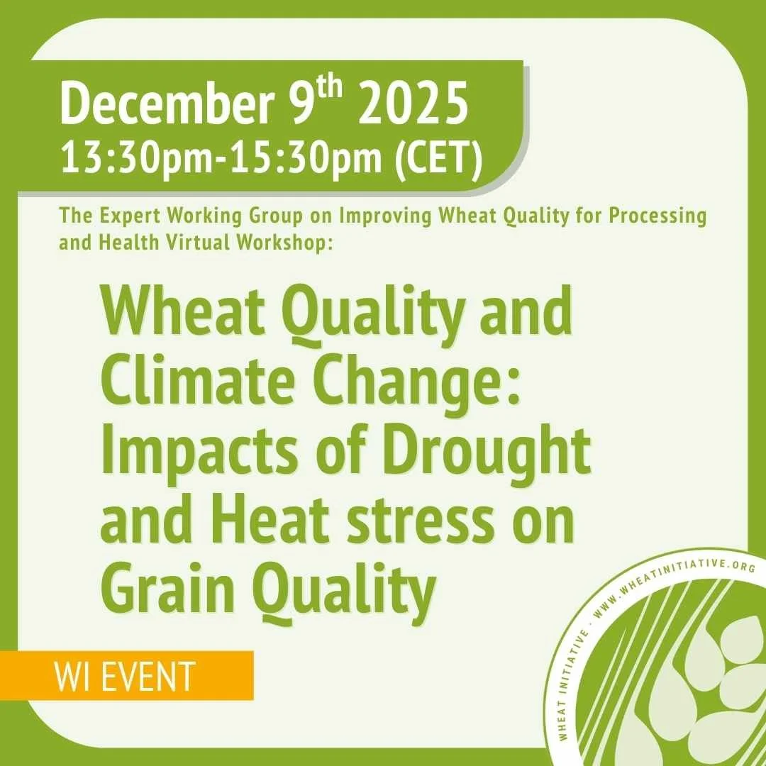 Virtual Workshop: Wheat Quality and Climate Change: Impacts of Drought and Heat stress on Grain Quality