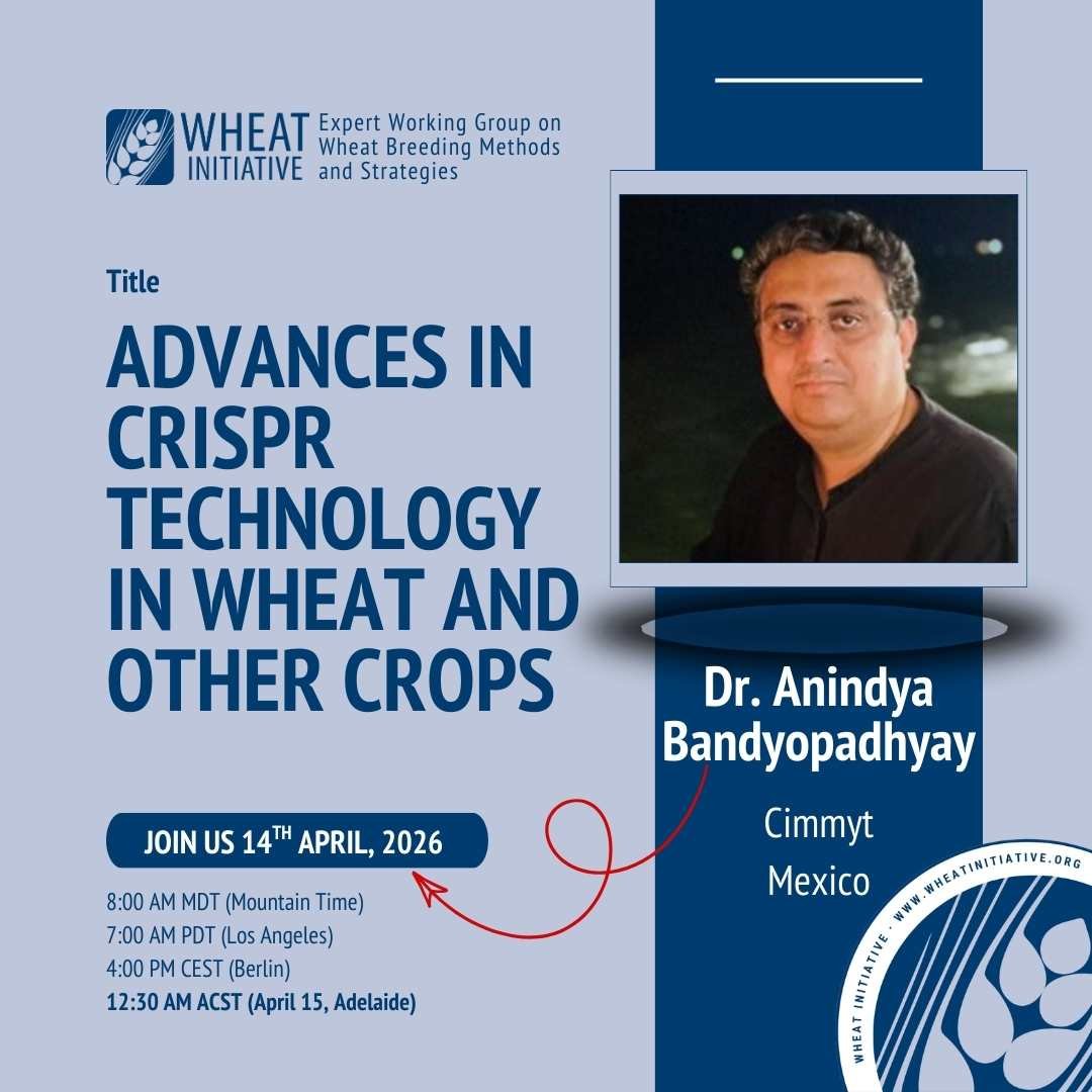 EWG Wheat Breeding Methods and Strategies Webinar - Advances in CRISPR technology in wheat and other crops with Anindya Bandyopadhyay