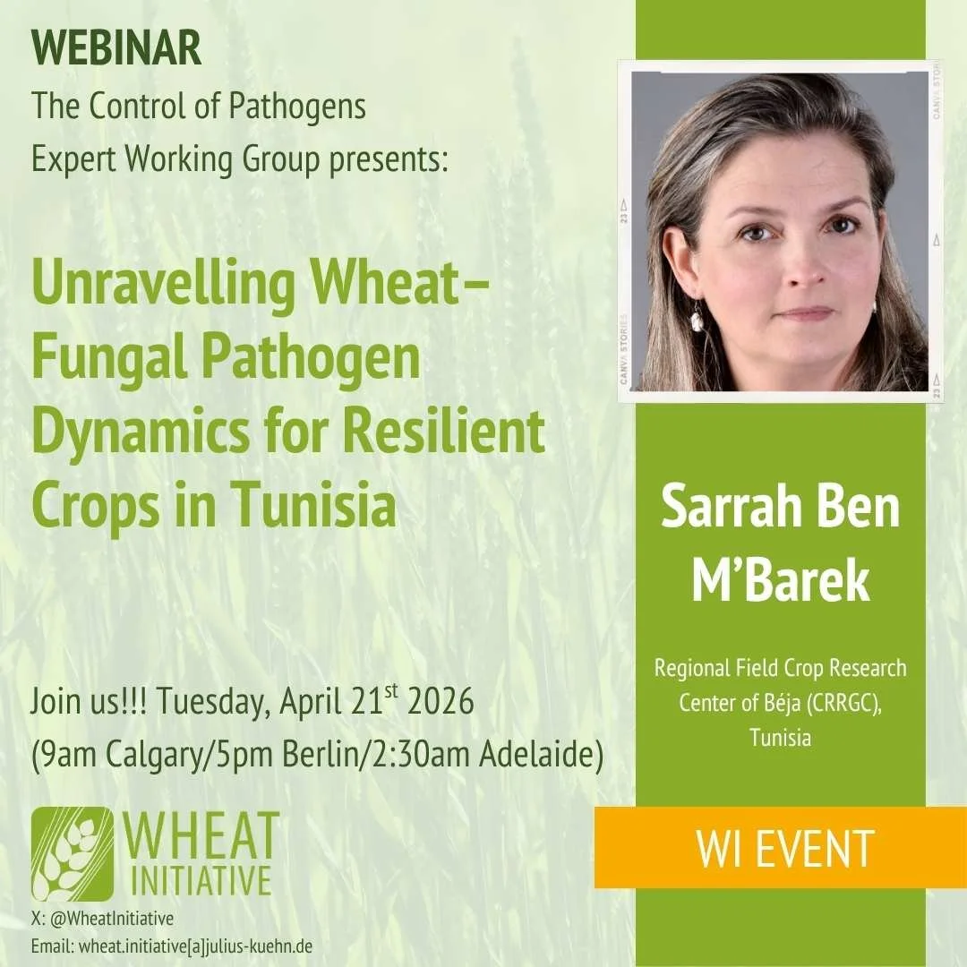  Sarrah Ben M’Barek at THE EWG ON WHEAT PATHOGENS WEBINAR SERIES