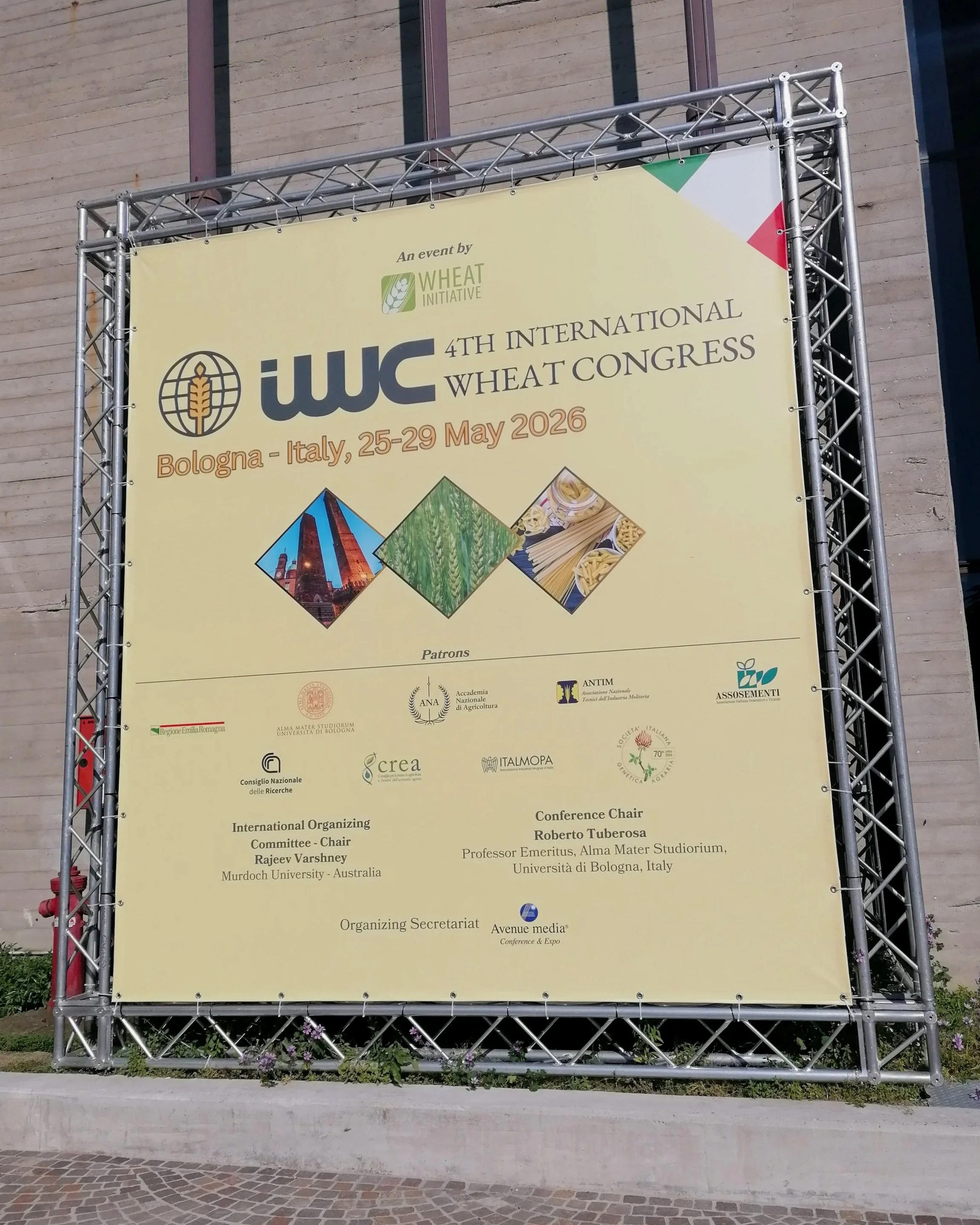 GLOBAL WHEAT RESEARCH COMMUNITY CONVENES IN BOLOGNA PRIOR TO INTERNATIONAL WHEAT CONGRESS 2026