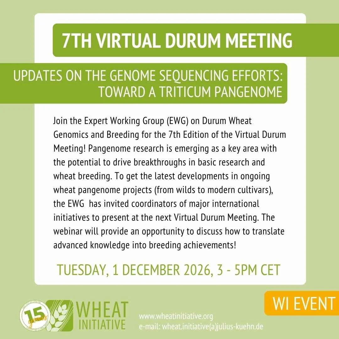 7TH VIRTUAL DURUM MEETING   1st DEC 2026