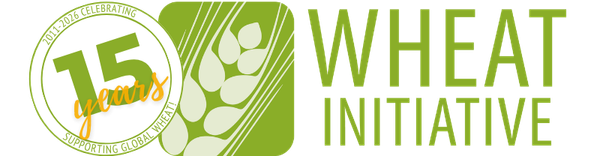Wheat initiative