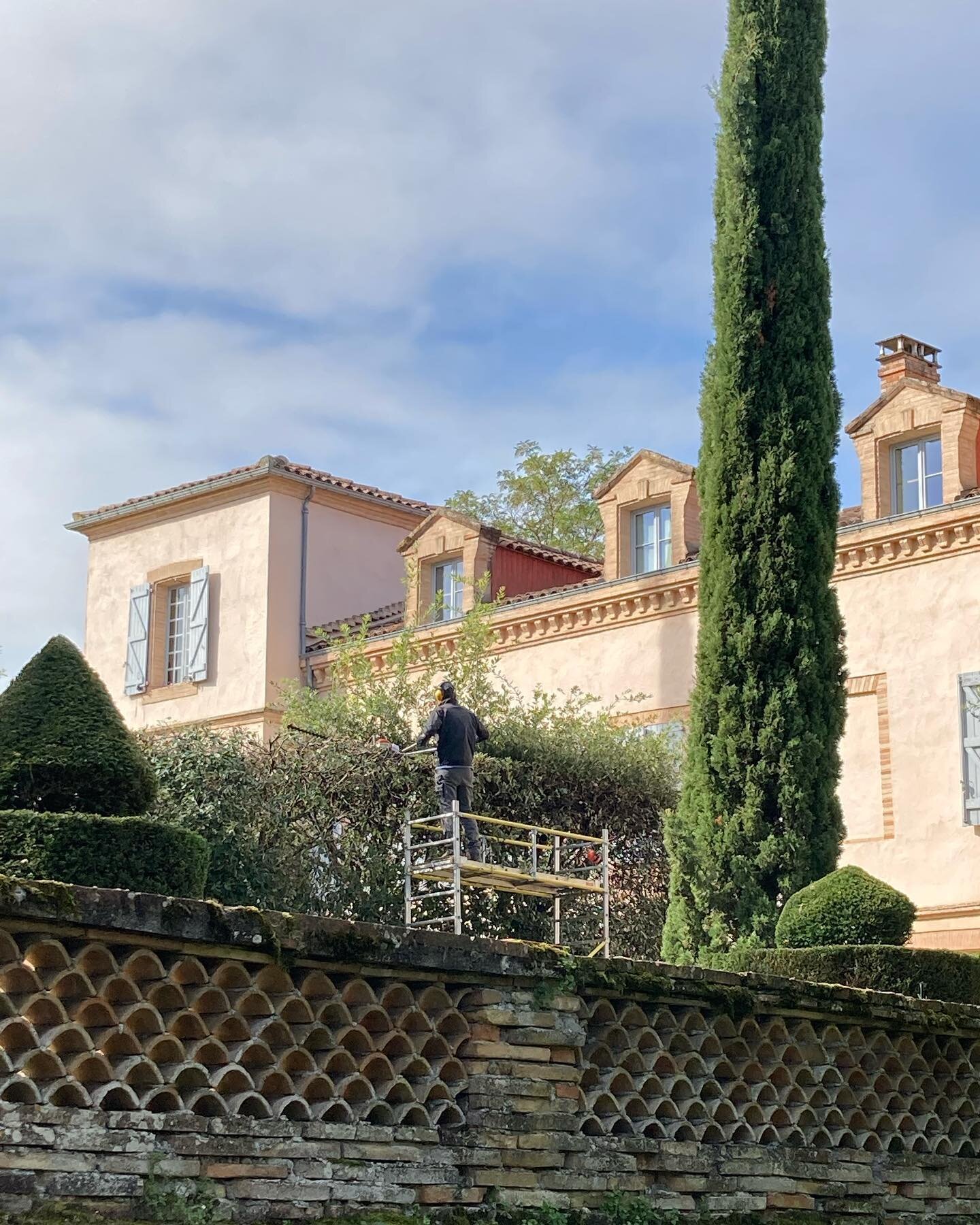 Time for a buzz cut! 

#chateaudumas 
#pruning
#topiary
#oaktrees
#autumnjobsinthegarden 
#southoffrance 
#chateauliving
