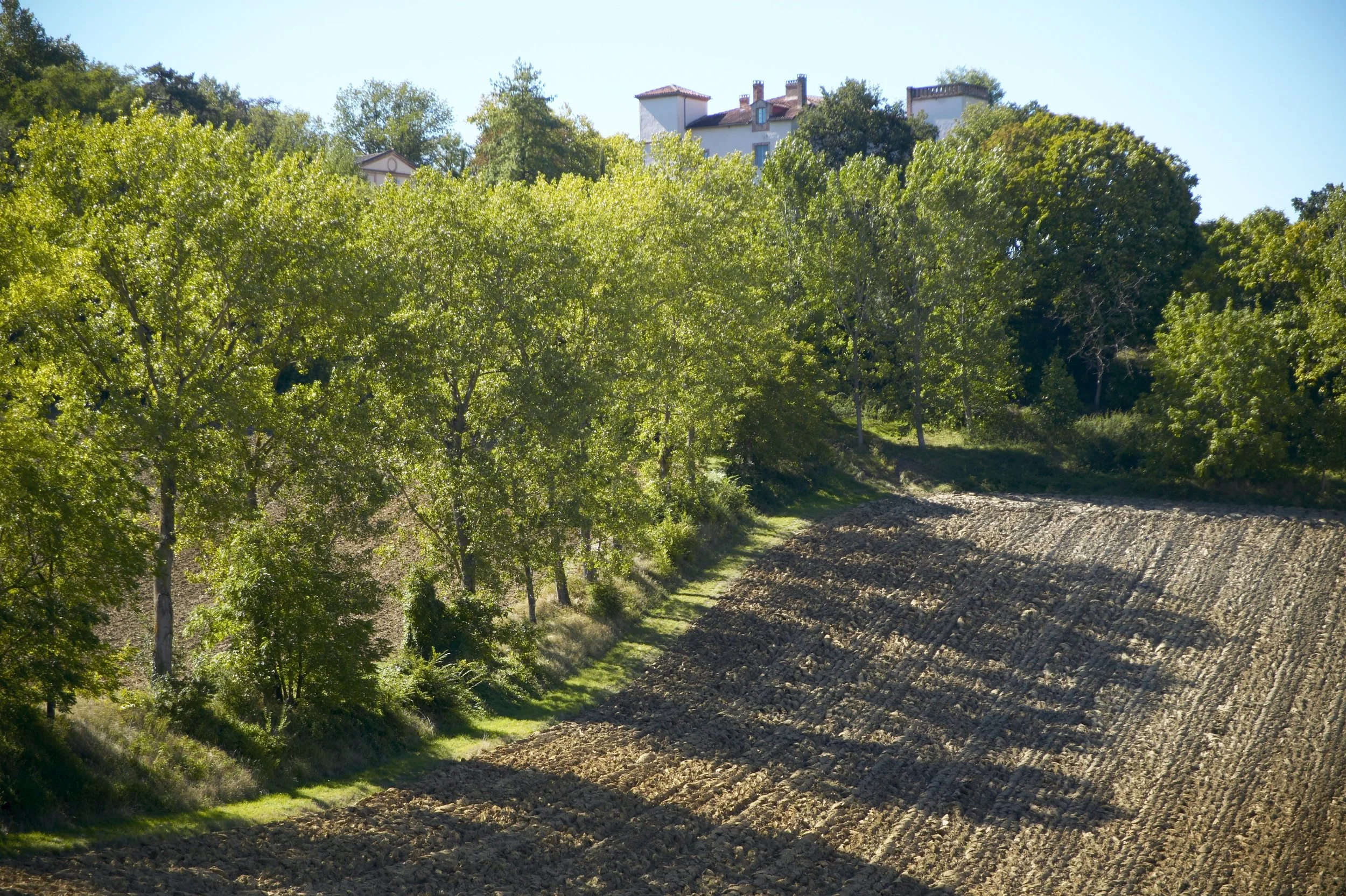 View across the fields.jpg