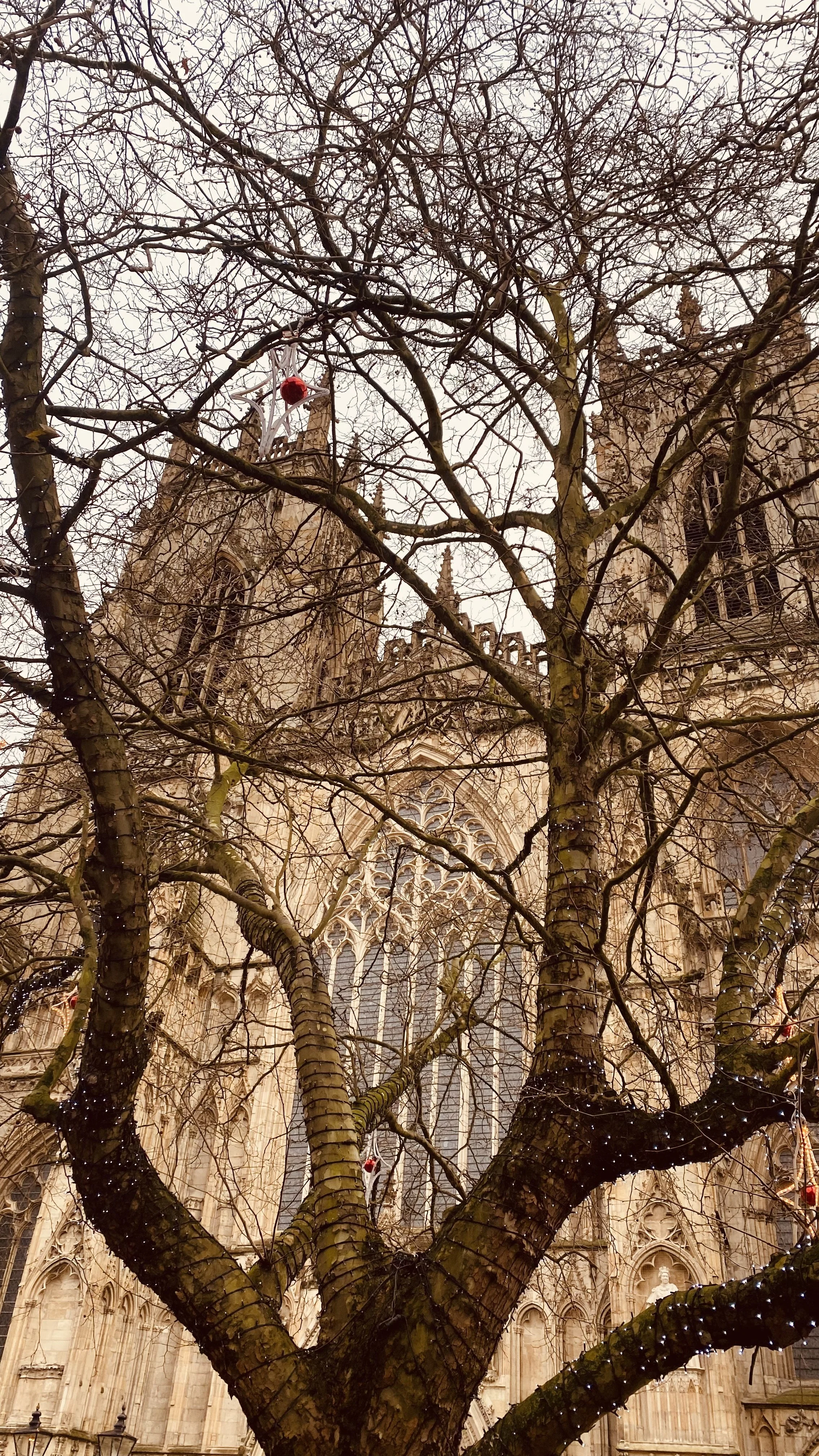 An Interior Designer’s Guide to York: The Most Stylish Places to Eat, Shop &amp; Explore