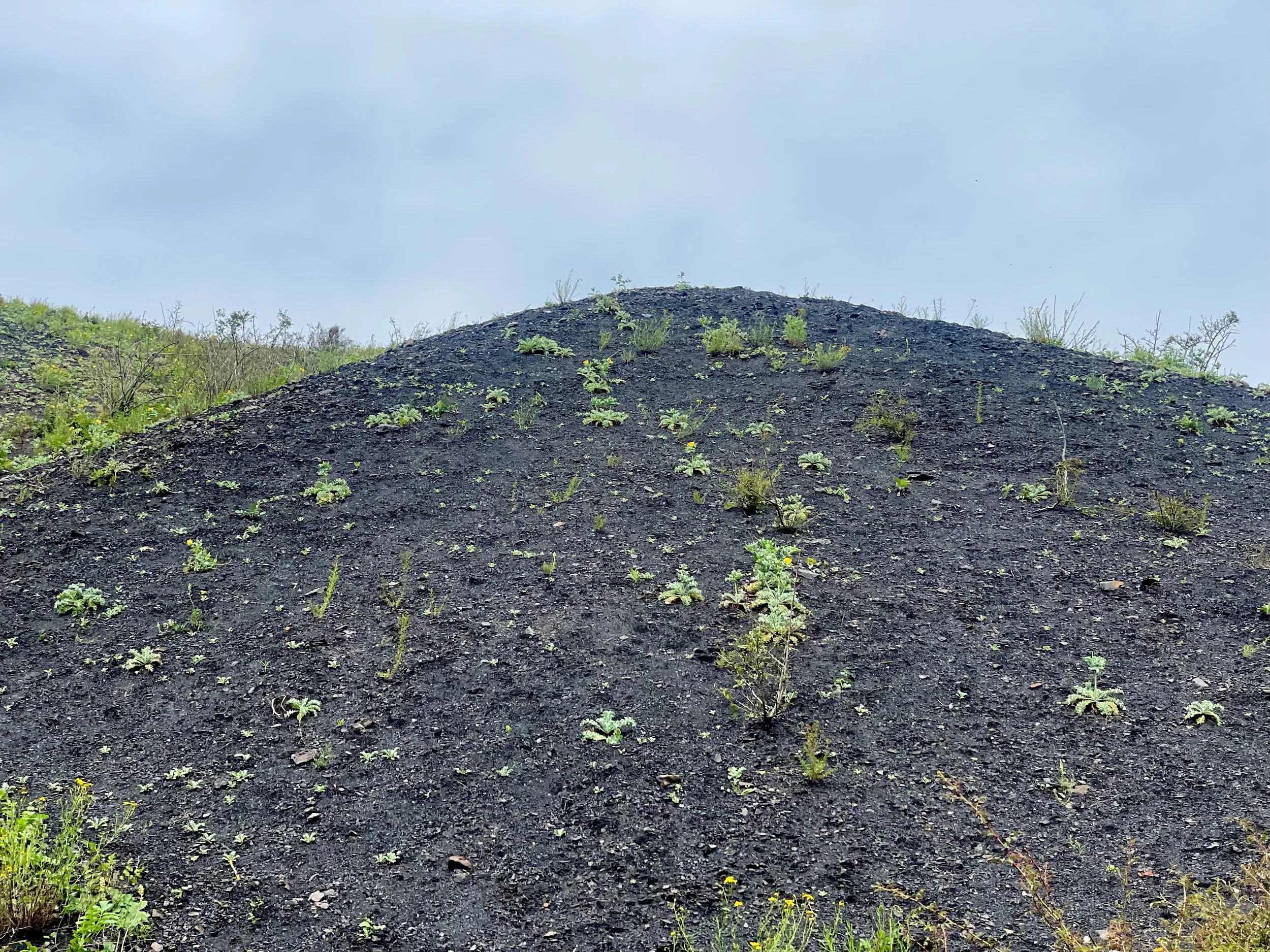Slag Heaps - Loos-en-Gohelle, France 2024