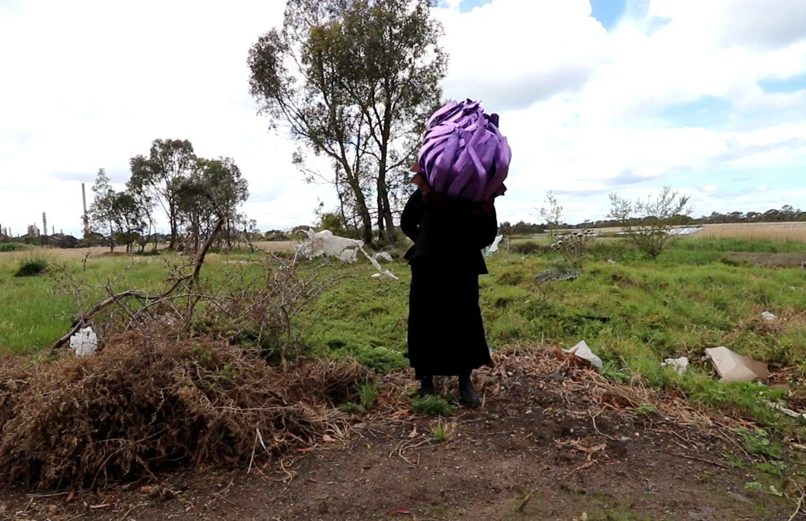 Becoming Feral - Current Work