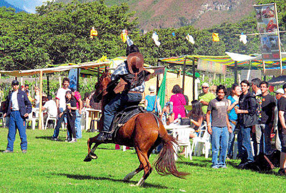 En fiestas patrias, Oxapampa